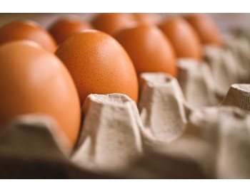 ¿Que no hay huevos? Los datos escalofriantes de la industria del huevo