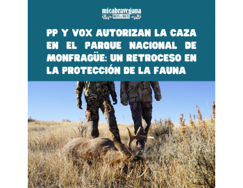 PP y Vox autorizan la caza en el Parque Nacional de Monfragüe: Un retroceso en la protección de la fauna