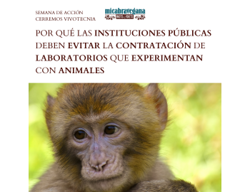 Por qué las instituciones públicas deben evitar la contratación de laboratorios que experimentan con animales