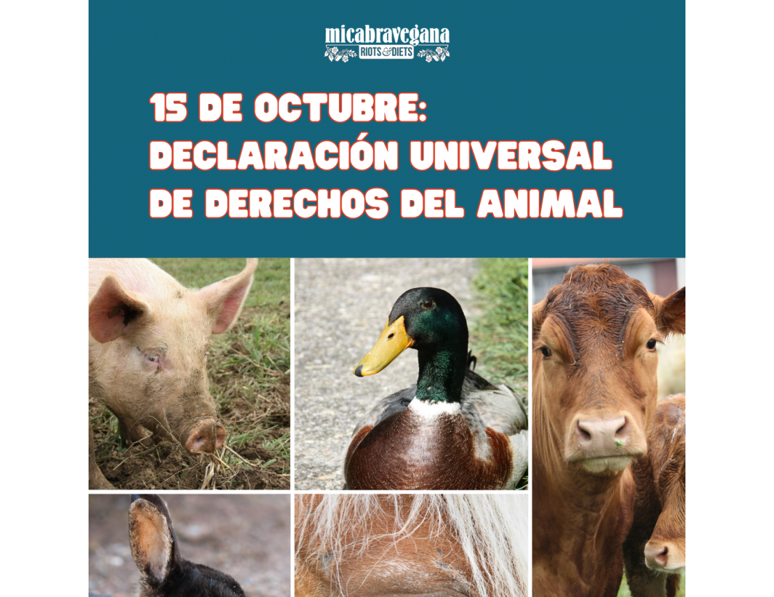 15 de octubre: Declaración Universal de Derechos del Animal