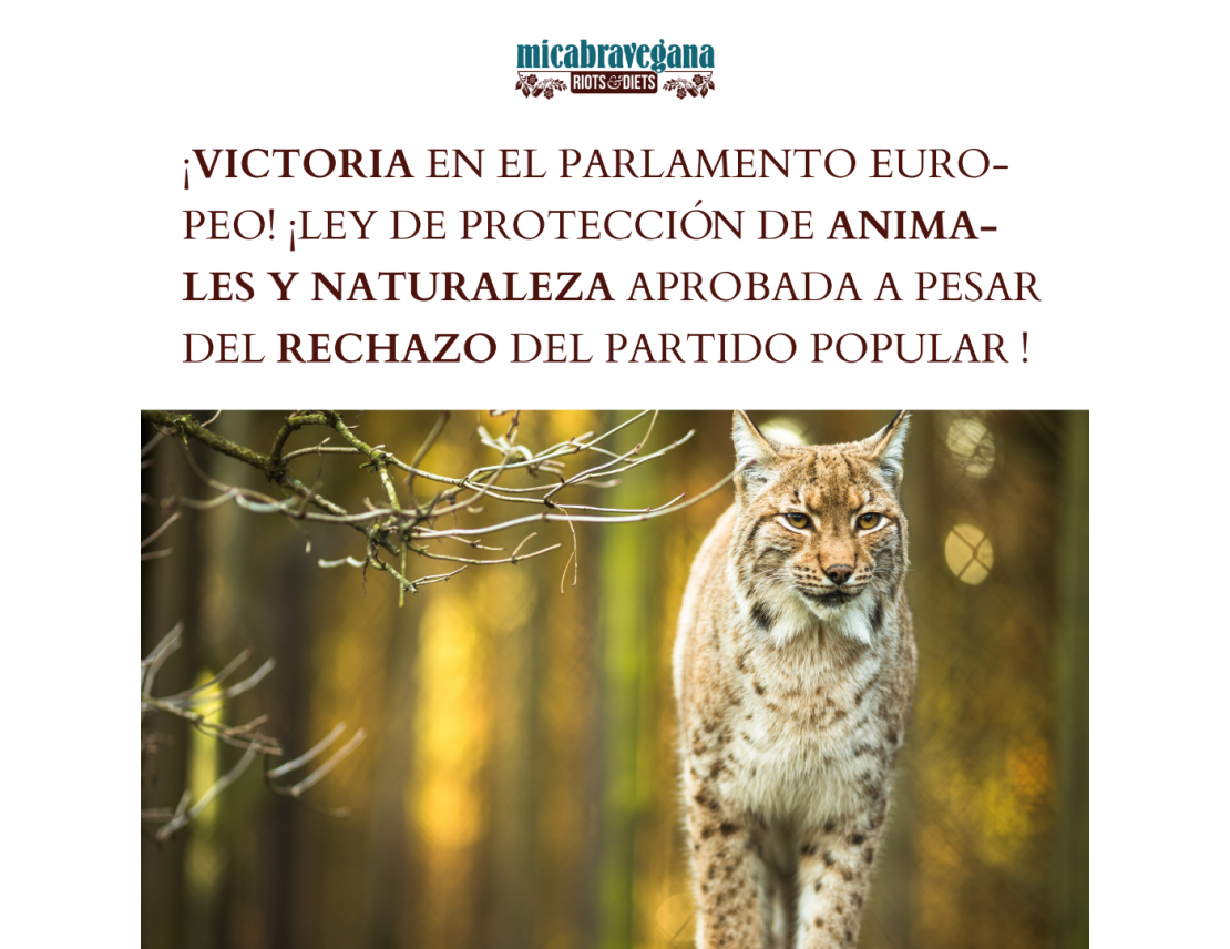 ¡VICTORIA EN EL PARLAMENTO EUROPEO! ¡LEY DE PROTECCIÓN DE ANIMALES Y NATURALEZA APROBADA A PESAR DEL RECHAZO DEL PARTIDO POPULAR EUROPEO!