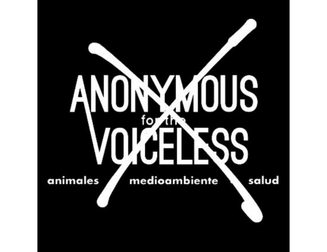 Desenmascarando Anonymous for the Voiceless
